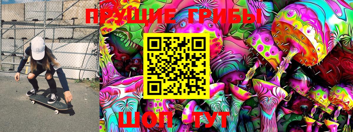 Карталы  Псилоцибиновые грибы MAGIC MUSHROOMS  Вход с VPN  Псилоцибиновые грибы прущие грибы 